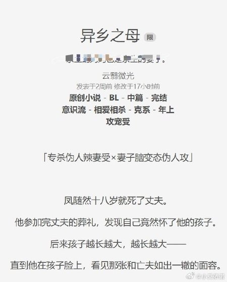 《异乡之母》
