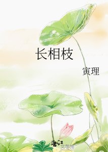 《长相枝》