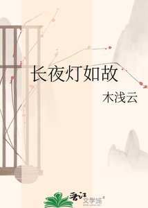 《长夜灯如故》