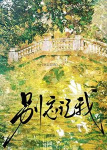 《别忘记我》