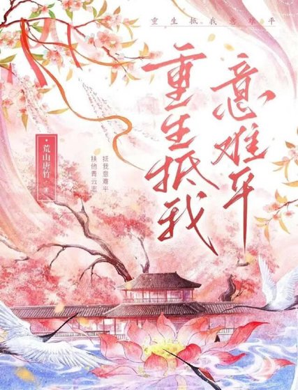 《重生抵我意难平》