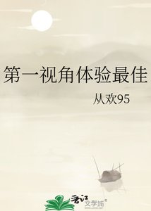《第一视角体验最佳》