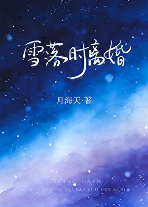《雪落时离婚》