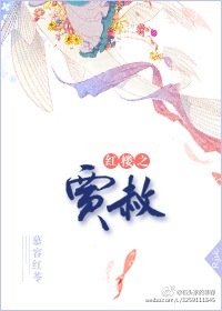 （BG/红楼同人）红楼之贾赦