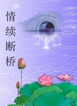 《情续断桥》