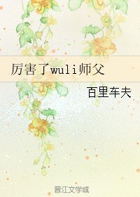 《厉害了wuli师父/我那满腹污水的师父一言不合就撩我》