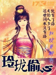 《玲珑偷心 》