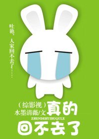 (综影视同人)真的回不去了