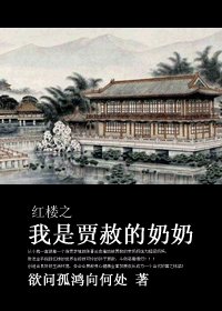 （红楼同人）红楼之我是贾赦的奶奶