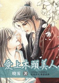 爱上木头美人（出书版）