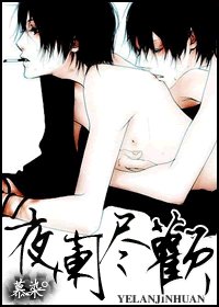 《夜阑尽欢》