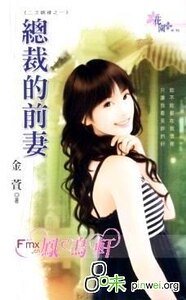 《总裁的前妻(二次姻缘之一)》