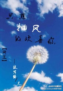 《(网王同人)只想抽风的喜欢你》