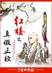（红楼同人）红楼之真假正经