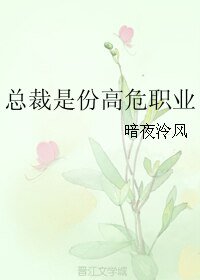 《总裁是份高危职业》