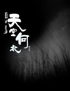 《天空向北》