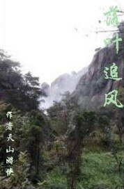 《落叶追风》