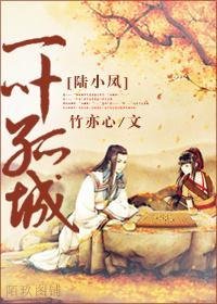《一叶孤城 》