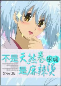 《(BG/银魂同人)不是天然卷,是麻辣烫!》