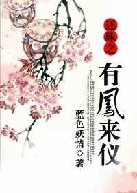 （BG/还珠同人）还珠之有凤来仪
