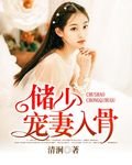 《储少宠妻入骨》