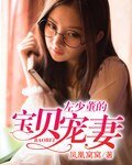 左少董的宝贝宠妻