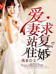 爱妻站住，求复婚