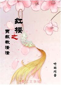 (BL/红楼同人)红楼之贾赦教渣渣