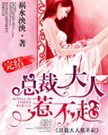 总裁大人，惹不起
