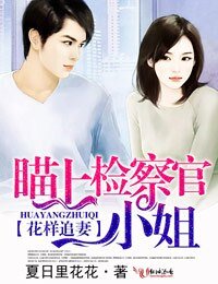 《花样追妻,瞄上检察官小姐》