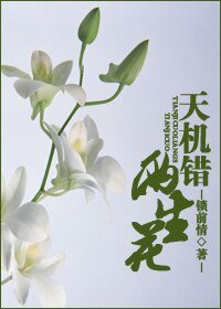 天机错 两生花（GL）