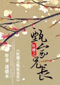 （BL/红楼同人）红楼之甄家兄长