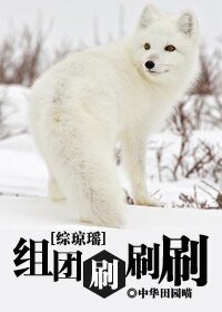 （综琼瑶同人/BL）综琼瑶之组团刷刷刷